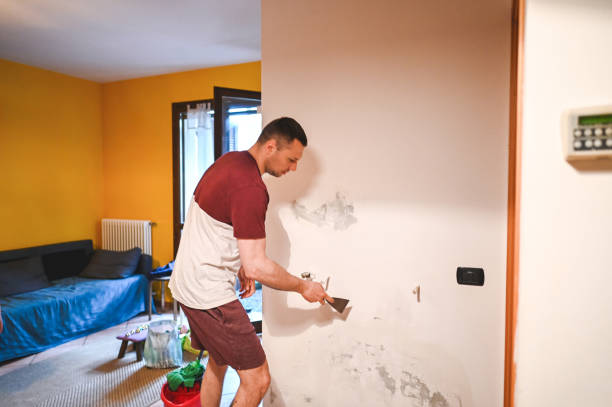 Office Mold Removal Services in Marina Del Rey, CA
